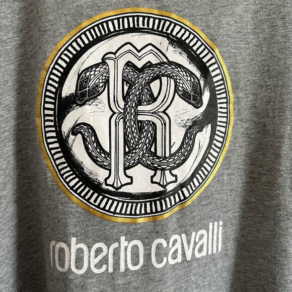 ROBERTO CAVALLI | Gray Heather Logo Tee Shirt | Size Large - Picture 2 of 6